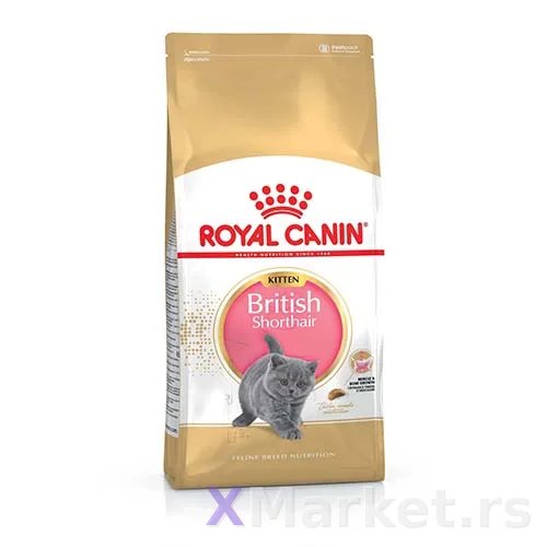 British ShortHair 0,4kg