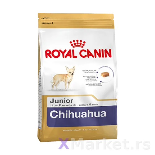 Chihuahua Puppy 0,5kg