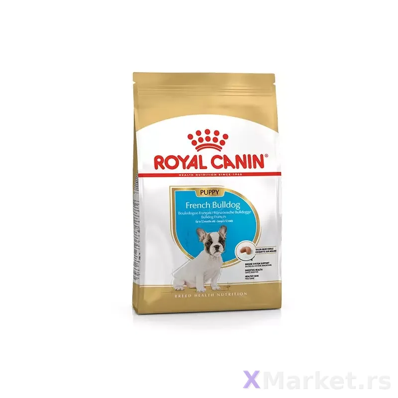 French Bulldog Puppy 3kg
